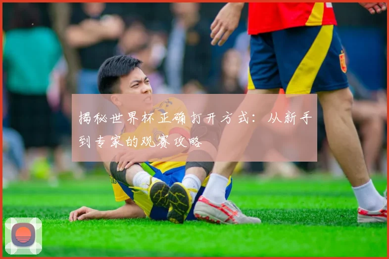 揭秘世界杯正确打开方式:从新手到专家的观赛攻略
