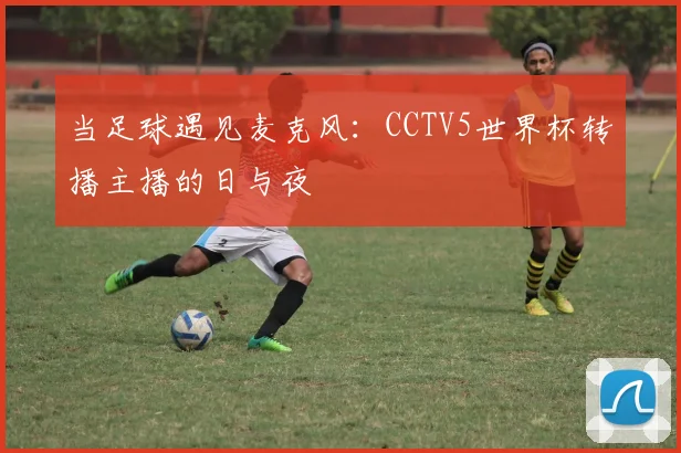 当足球遇见麦克风：CCTV5世界杯转播主播的日与夜