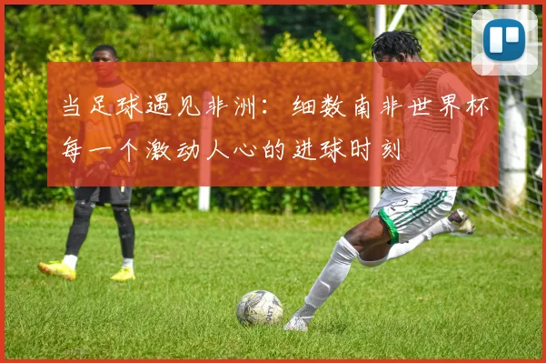 当足球遇见非洲：细数南非世界杯每一个激动人心的进球时刻