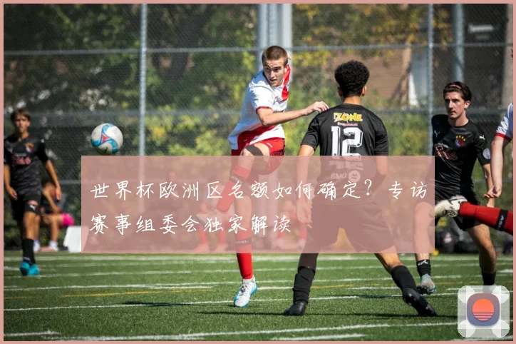 世界杯欧洲区名额如何确定？专访赛事组委会独家解读