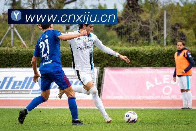 App Interface Preview